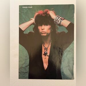 Steven Tyler Pinup - Black Outfit with Green Background